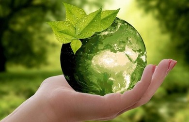 Scientific, Ayurvedic and safe medicine